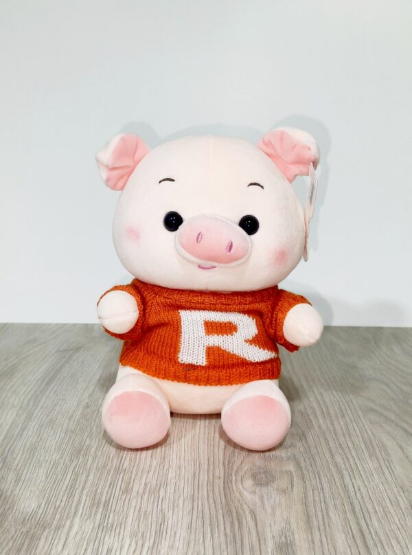 ✨Angel, el peluche que roba corazones✨